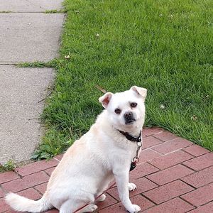 Meet your Posher, Larry